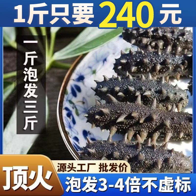 海参大连海参拉缸盐海参辽参刺参非干海参鲜活半干海参特价工厂