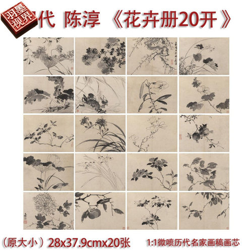 明陈淳花卉册二十开写生图册临摹