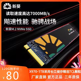 nvme协议X8 X8新葵M.2 120G 128G 新葵 480G固态硬盘 256G 240G