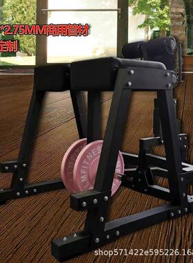 腰腹背训练器GHD罗马椅山羊挺身ROGUE俯卧反向抬腿屈腿臀训练塑形