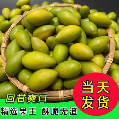 甜种冰糖新鲜橄榄特甜鲜橄榄