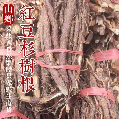 野生红豆杉树根500克红豆杉中药