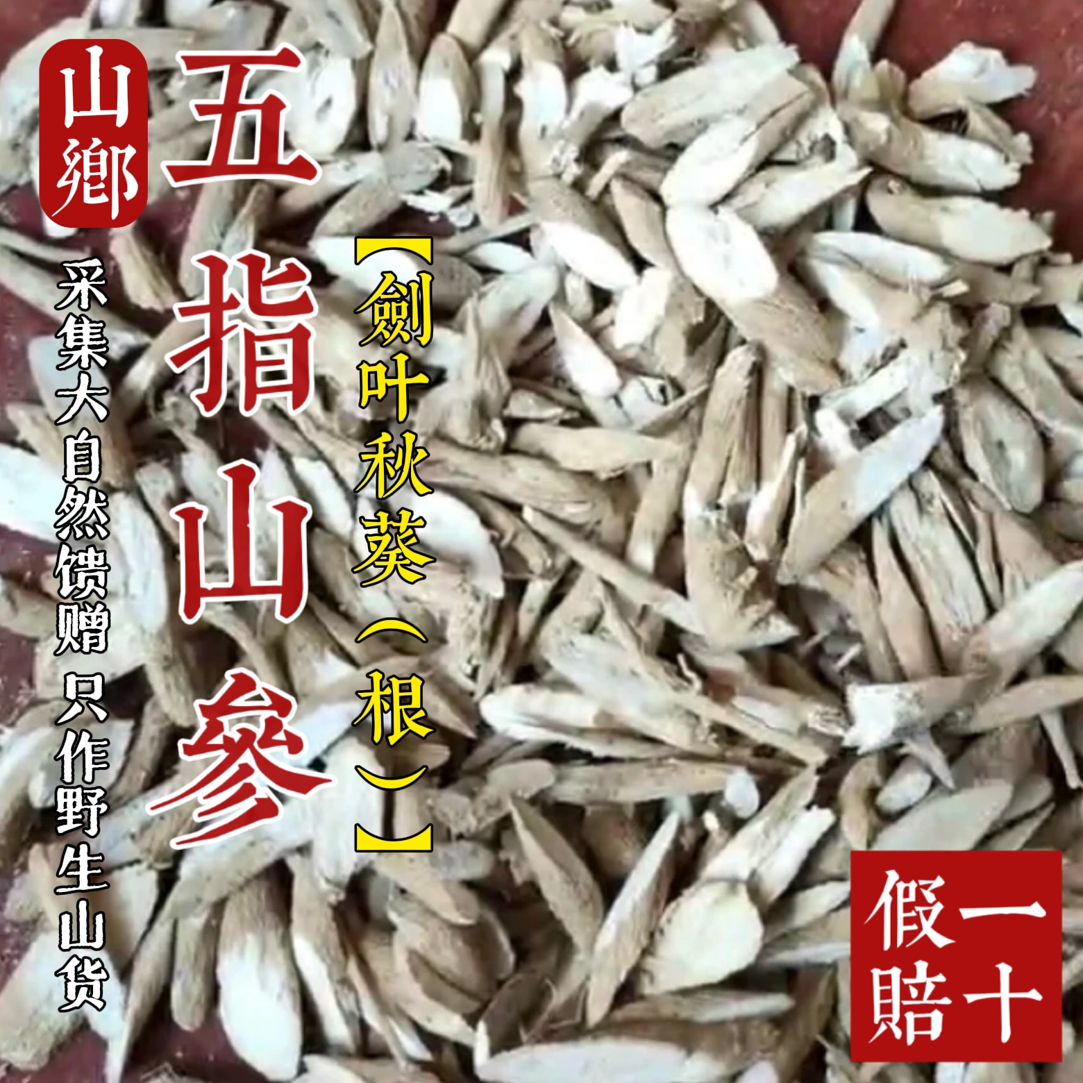 山乡药域 五指山参中药材野生红花马宁农家晒干野生箭叶秋葵的根