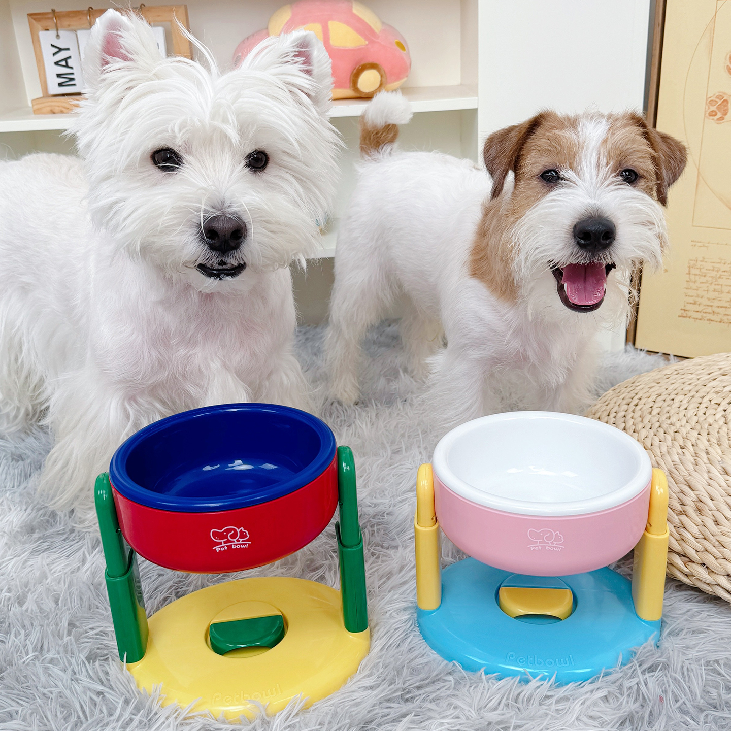 猫咪狗狗保护颈椎饭碗水碗防打翻