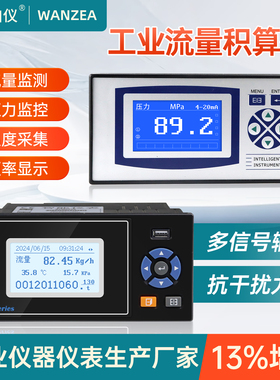 智能流量积算仪蒸汽流量GT20XF气体温压补偿RS485通讯液体显示表