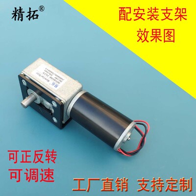 4058GW-31ZY蜗轮蜗杆减速电机 微型自锁马达 可正反转 调速大扭矩