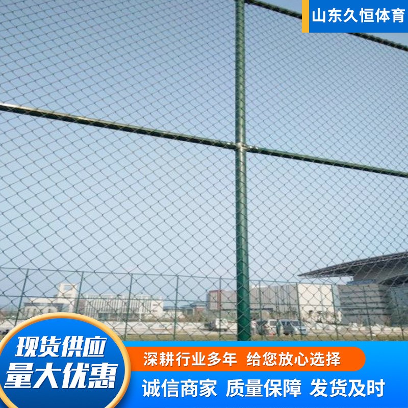球场PVC包塑勾花护栏 学校操场体育场围网运动场围栏球场围网