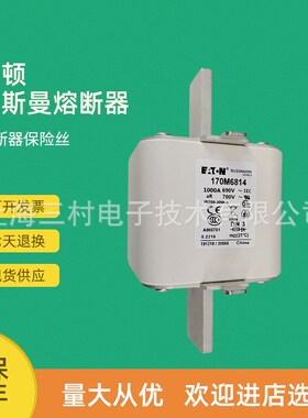 全新原装快c速熔断器保险丝170M6863 170M6864 170M6865 170M6866