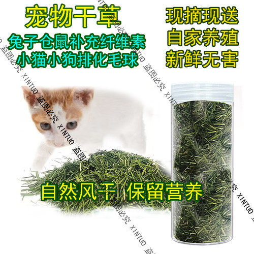 新鲜风干猫草化毛球干草营养猫咪零食辅食豚鼠龙猫荷兰猪兔兔嫩草