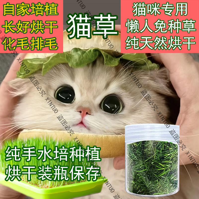 懒人猫草烘干猫咪去毛球猫草排毛天然猫草段清口气洁齿新鲜猫草碎