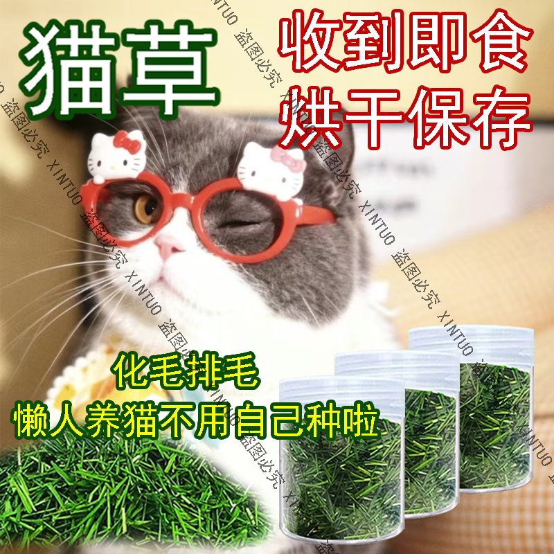 XINTUO懒人猫草即食烘干猫咪去毛球新鲜小麦草清口气助消化猫草