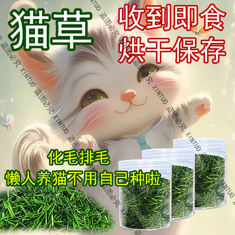 XINTUO已长好烘干猫草猫咪排毛小麦草干草成品薄荷清口气洁齿冻干
