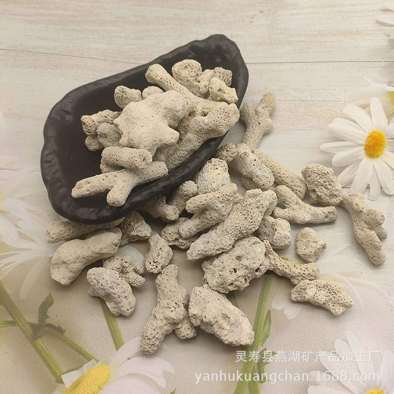珊瑚砂珊瑚骨海洋馆过滤材料造景珊瑚石调节水质调节PH值