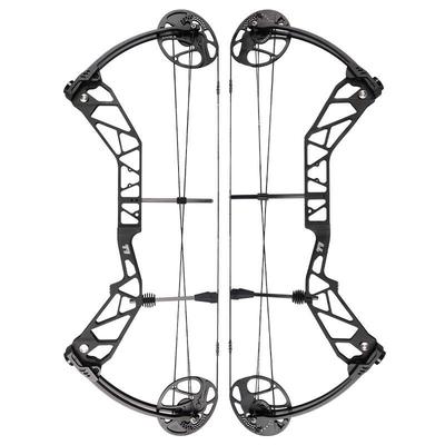 顶点复合弓箭T1,滑轮弓箭套装户外竞技比赛射箭器材,裸弓