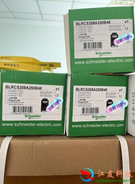 施耐德电容器 BLRCS208A250B48  20.8Kv