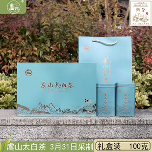 本土传统虞山工艺白茶2024年新茶常熟白茶明前精品100克 送礼盒装