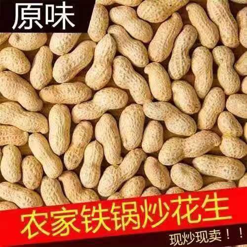 特产原味炒熟花生农家铁锅炒花生现炒现卖带壳熟花生