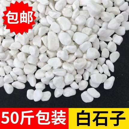 50斤白石头庭院花园铺路鹅卵石造景花园园林枯山水白石子多肉铺面