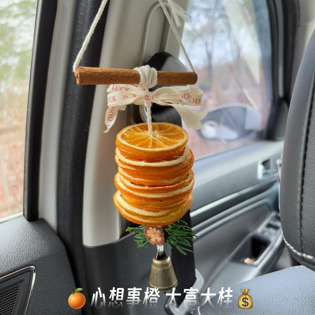 谁提新车就送他这个大橘大利车挂