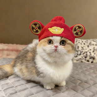 宠物小猫财神帽子毛绒头套猫咪喜庆搞怪新年装扮饰财神爷变装帽