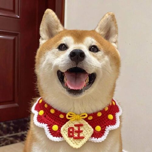 新年宠物围脖红色福字波点口水巾手工钩织毛线狗狗猫猫装饰喜庆