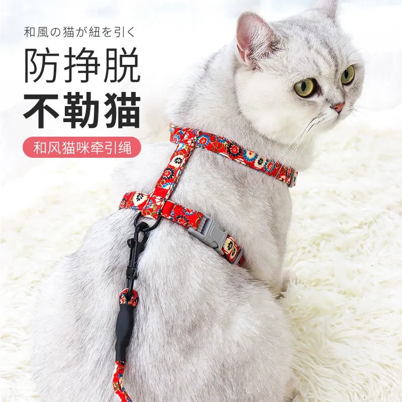 猫咪牵引绳防挣脱夏季溜猫遛猫绳可调节猫绳子Q拴猫链宠物狗狗外