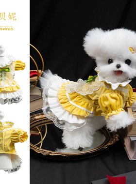 安贝妮狗狗衣服秋冬丝绒裙防掉毛幼犬小型犬雪纳瑞约克宠物连身裙