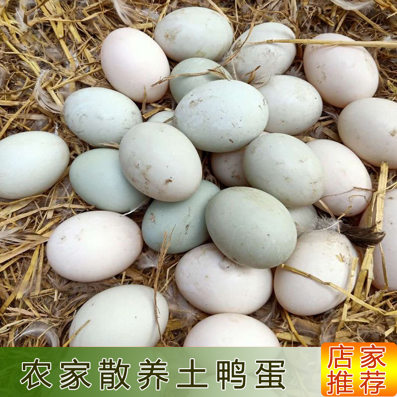 正宗农村自养土鸭蛋新鲜发货