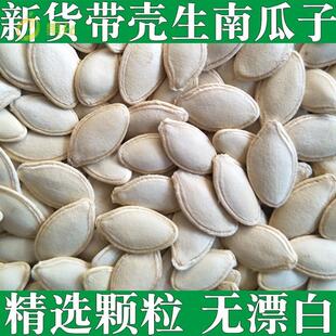 内蒙古特产带壳南爪子原味生的生南瓜籽大粒特大南瓜子散装兰瓜子