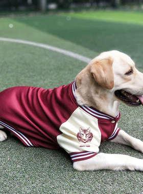 狗狗衣服冬季中型大型犬金毛拉布拉多边牧德牧加绒加厚保暖不粘毛