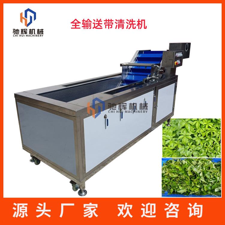 按要求制造加长传输送洗果机连续式自动柠檬沙糖桔清洗机漂烫机