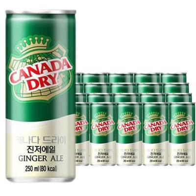 韩国产 加拿大CANADA DRY姜汁汽水干姜水生姜水250ml*30罐进口