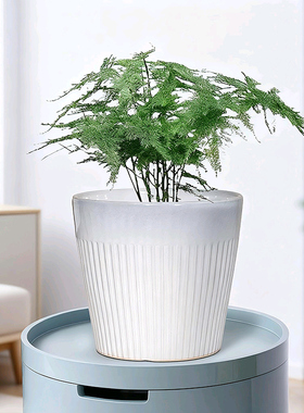 花盆陶瓷家用白色轻奢高级感客厅蝴蝶兰专用北欧简约室内兰花文竹