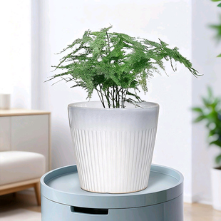 花盆陶瓷家用白色轻奢高级感客厅蝴蝶兰专用北欧简约室内兰花文竹