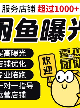 闲鱼曝光提升 闲鱼运营一对一实操指导 新手闲鱼流量优化服务