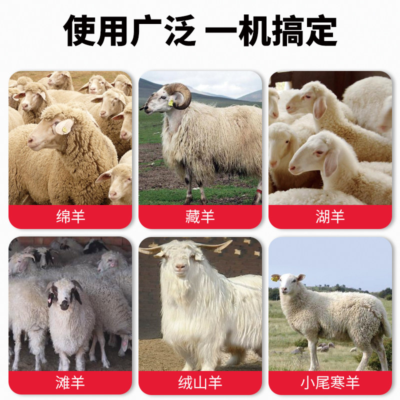 羊毛推子电动剪毛机刀片绵羊推毛的电推子直刀弯刀剃毛电剪刀手持