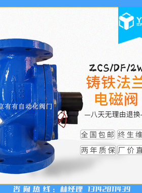 DF/ZCS常闭式法兰电磁阀 水用先导式电磁阀DN40 50 65 80 100 150