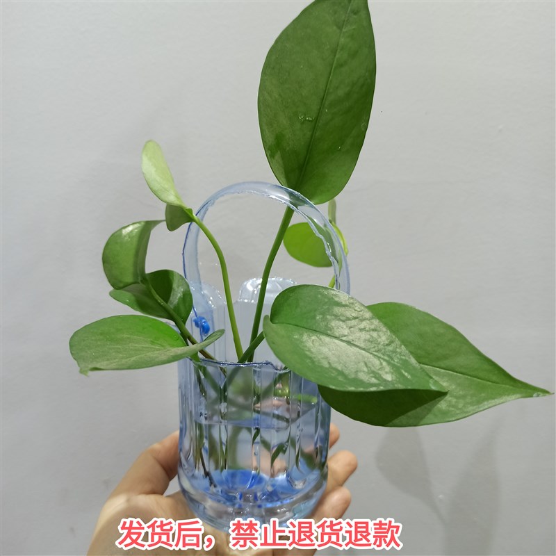 热销矿泉水瓶饮料瓶废物利用创意手工制作成品小学生变废为宝手工