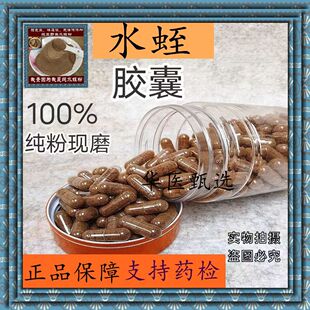 菲牛蛭胶囊冻干粉水蛭素粉胶囊水蛭素胶囊冻干粉野生蚂蝗正中药材