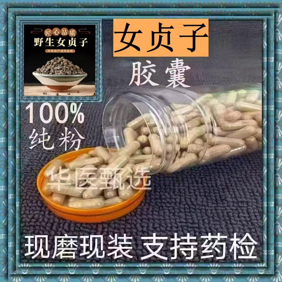 女贞子胶囊现磨特级中药材精选纯粉冬青纯天然野生新货正品包邮