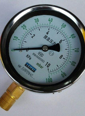 。膜盒压力表 YET-100 100mbar 等于10kpa 直径100mm 螺纹m20x1.5