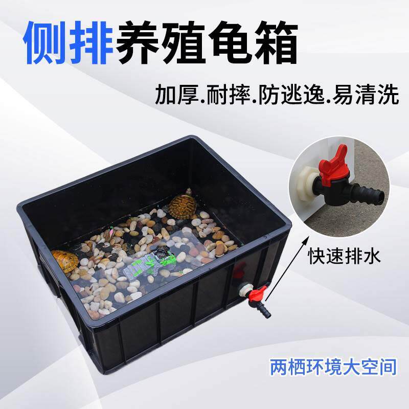 侧排带排水阀周转龟箱鱼箱塑料长方形鳄鱼养殖箱大号鱼缸螃蟹虾缸