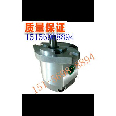 EG-PS-5R油泵HAHYDROMXCJ齿轮泵 EG-PS-1 2 3 4 6 7 8R