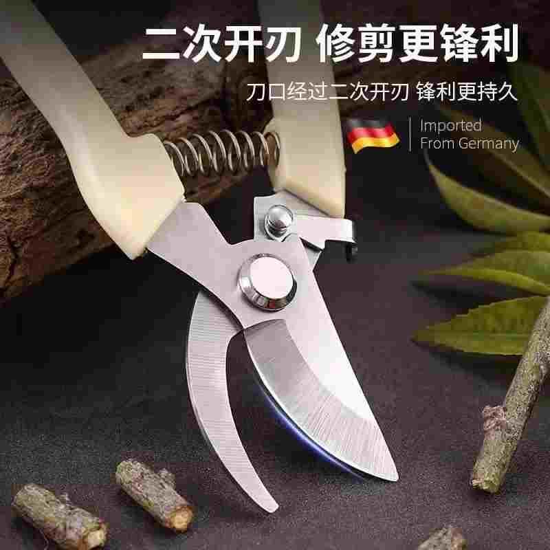 修枝剪园艺剪刀剪树枝专用园林修剪果树修枝花艺修花剪剪枝剪粗枝图片