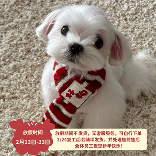 【24小时内发货】dadoodle 「好狗」狗狗针织围巾宠物新年礼物
