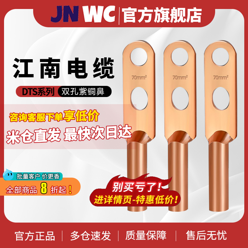 DTS双孔国标铜鼻子接线端子双眼线耳紫铜镀锡35/50/70/95/120平方