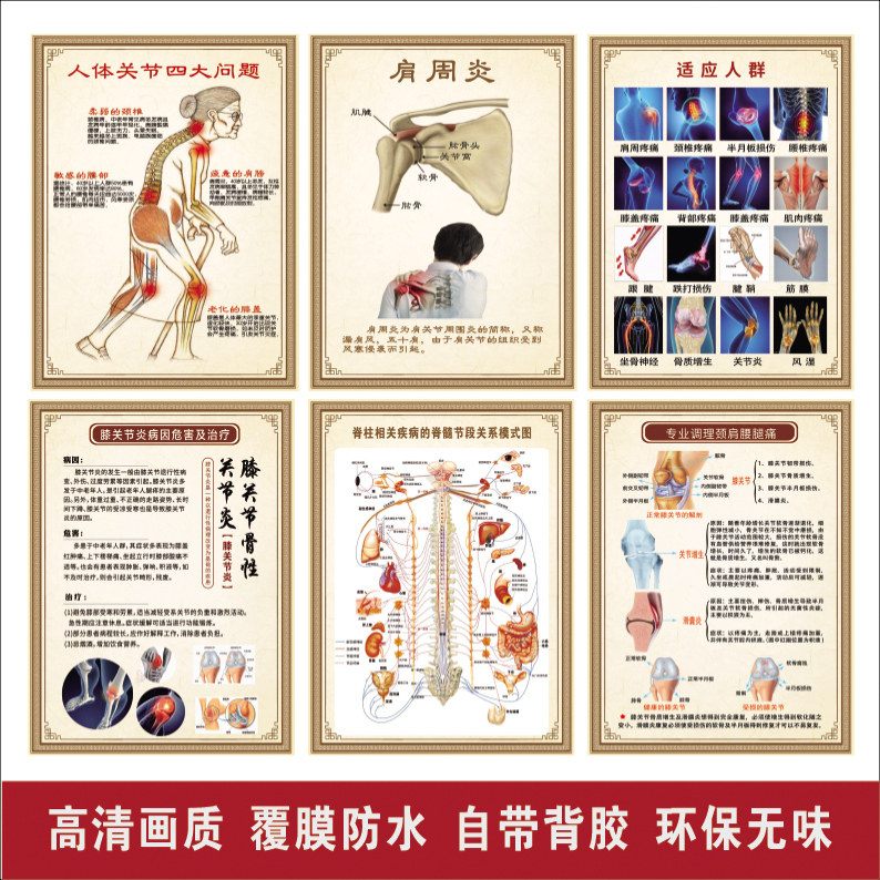 中医养生馆海报肩周炎关节炎颈椎病腰椎间盘突出脊柱宣传画挂图