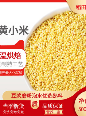 新熟黄小米打豆浆磨粉面破壁机专用五谷杂粮低温烘焙炒熟小米
