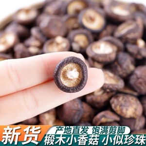 迷你小香菇珍珠菇拇指香菇干货500g包邮特产煲汤无根肉厚