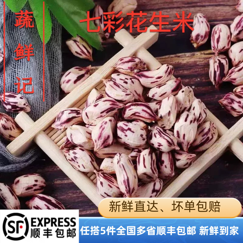 云南特产七彩花生米新鲜带壳野地花生种子批发七彩生花生仁